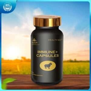 NORLAND IMMUNE PLUS CAPSULES