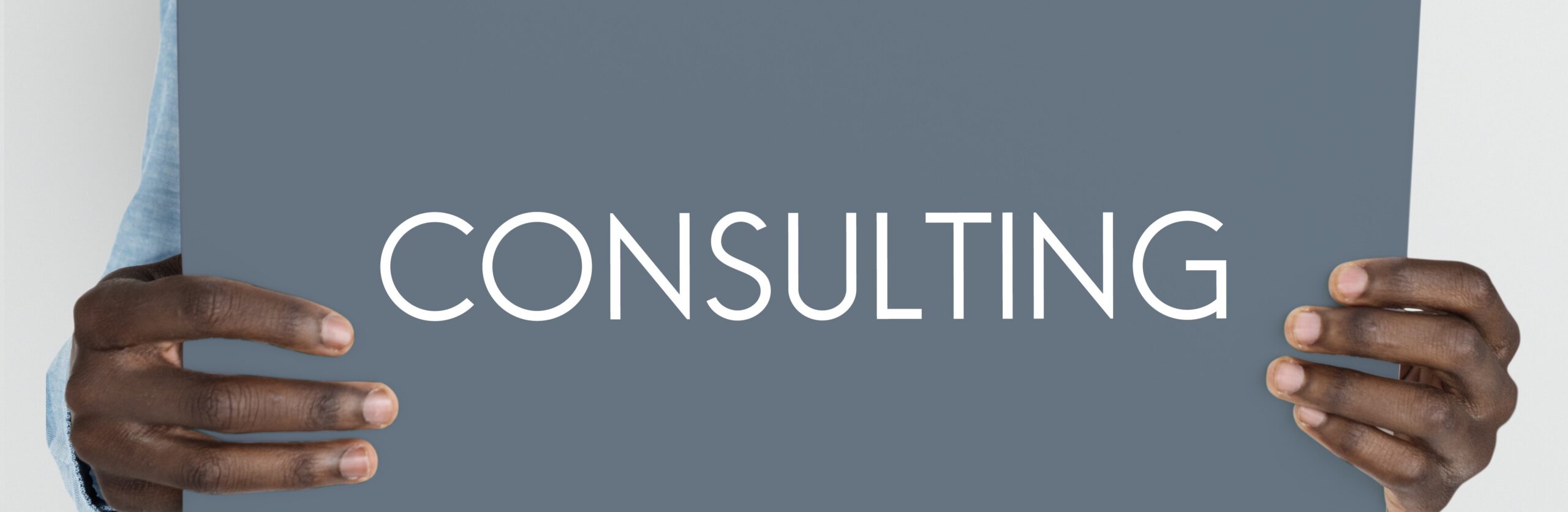 Consulting Professional Expert Service Business